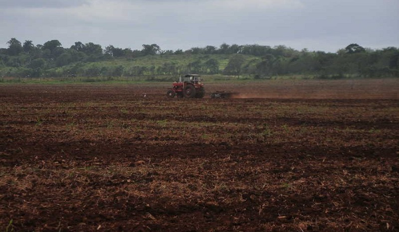 Proyecto de desarrollo local con aporte de capital extranjero beneficiará a Yaguajay
