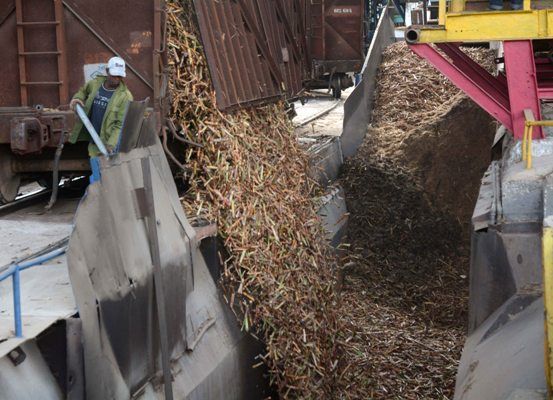 Hay que trabajar para lograr mejores zafras azucareras. Foto: Oscar Alfonso Sosa.