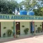 Medios biológicos contribuyen al desarrollo agrícola de La Sierpe