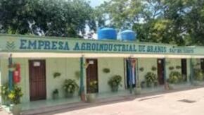 Medios biológicos contribuyen al desarrollo agrícola de La Sierpe