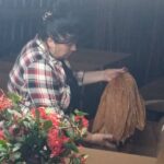 Ana María Guerra  y cultivo de tabaco tapado