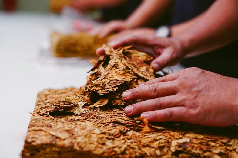 Ofertan curso de torcedor de tabacos a jóvenes reclusos