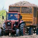 Laboran en acciones vitales para la próxima zafra en Sancti Spíritus