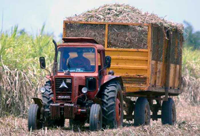 Laboran en acciones vitales para la próxima zafra en Sancti Spíritus