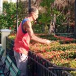 El arte de la jardinería cobra vida en el corazón de Trinidad