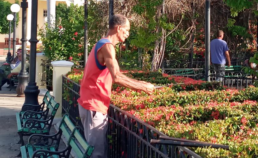 El arte de la jardinería cobra vida en el corazón de Trinidad