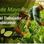 Celebran en Jatibonico acto por el Día del Trabajador Tabacalero
