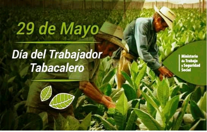 Celebran en Jatibonico acto por el Día del Trabajador Tabacalero