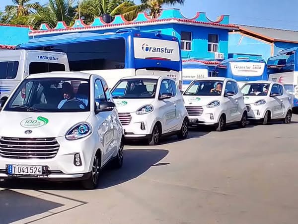 TRANSTUR Trinidad despide 2024 con resultados superiores