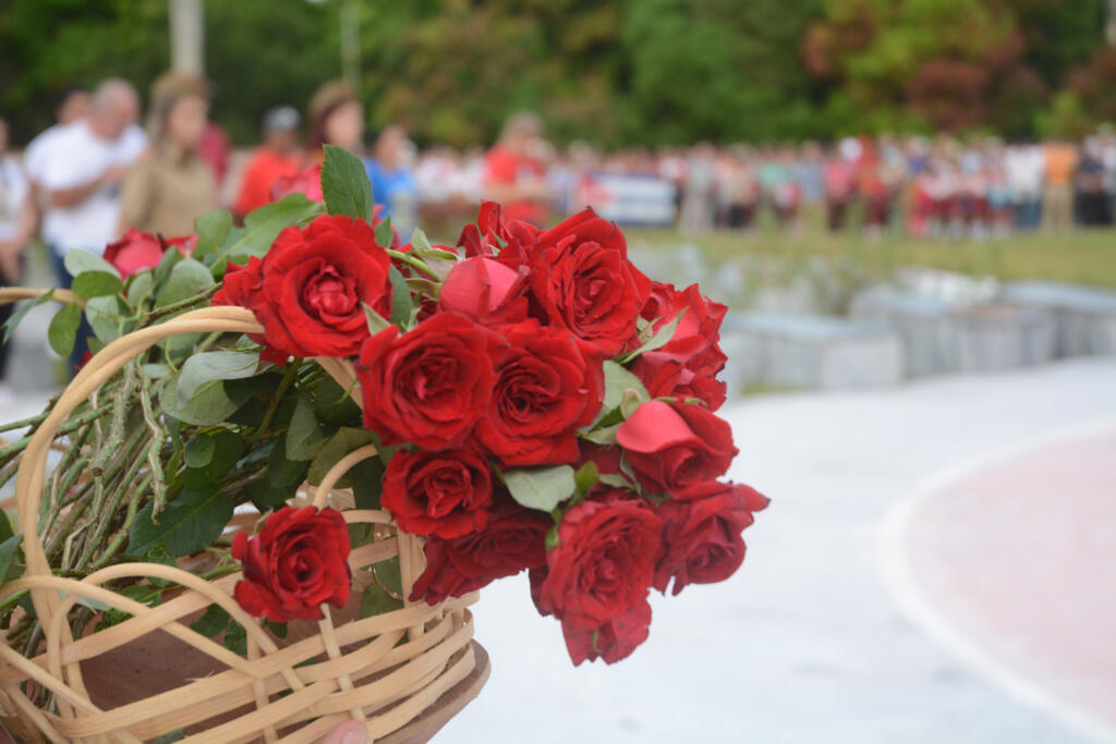 Rosas rojas, en manos de estudiantes, trabajadores y combatientes se dejan ver en los nichos del Mausoleo y en la llama eterna.