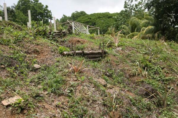 La protección de los suelos, una de las fortalezas del Refugio de Vida Silvestre Lomas de Fomento. Foto: Oscar Alfonso Sosa.