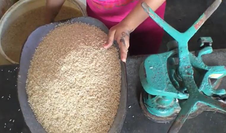 Informan sobre distribución de arroz de la canasta básica