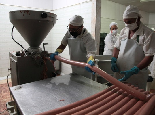 Los colectivos de trabajadores, con el empuje en la producción de alimentos, saludan el Día del Proletariado Mundial. Foto: Oscar Alfonso Sosa.